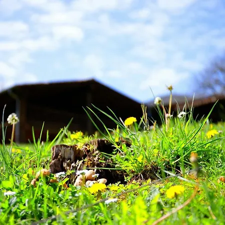 Can Planes Country house La Vall de Bianya